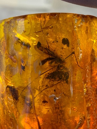 AAM0008 Янтарь с многочисленными инклюзами «Зоопарк». Вес камня 72 грамма!