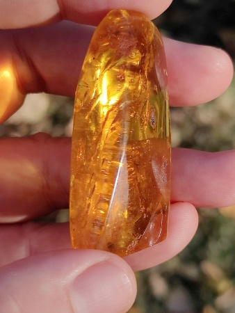 AAM0013 Янтарь с инклюзом «У ручья». Вес 14 грамм, 2 ручейника, 4 комара, тля, колемболла и бутон цветка! 