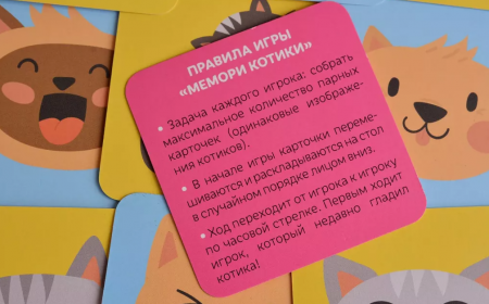 ТК007FI Мемори Совушки (на русском языке) ТК007FI Мемори Совушки (на русском языке)