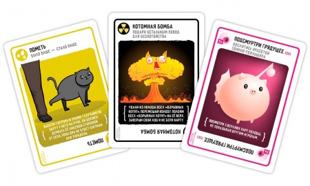 915753HW Взрывные котята Рецепты котострофы