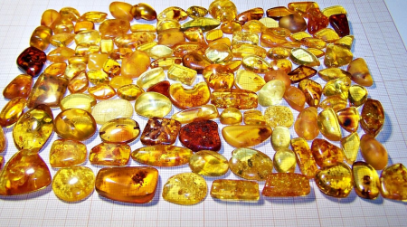 AAM0002 Янтарь с  редкими инклюзами