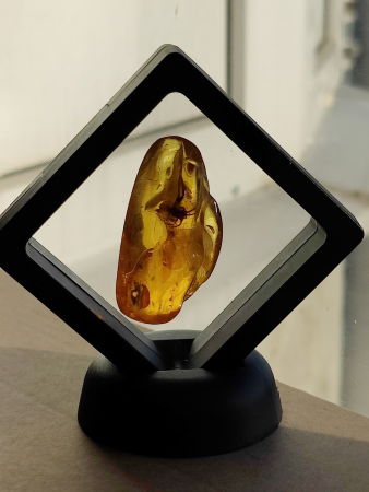 AAM0001 Янтарь с инклюзами