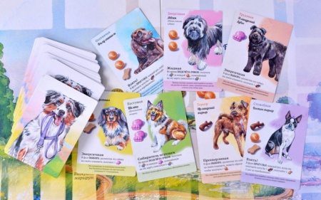 915537HW Прогулки с собаками