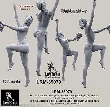 LRM35079 Мойщица техники - Девушка с тряпкой