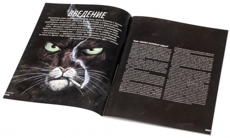 STNBSD01ST Блэксэд: Быстрый старт