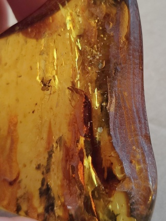 AAM0012 Янтарь с многочисленными инклюзами Охотничье угодье. 43 грамма! 