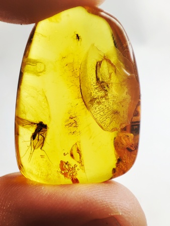 AAM0015 Янтарь с многочисленными инклюзами  «Муха Зеленуха»