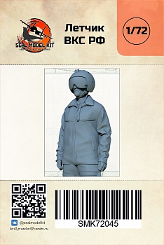 smk72045 летчик вкс РФ