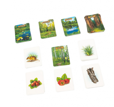 BG11016EUR Игра настольная Лесные истории BG11016EUR Игра настольная Лесные истории
