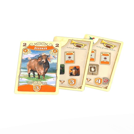 8878 Великий Западный Путь. Дорога на Север