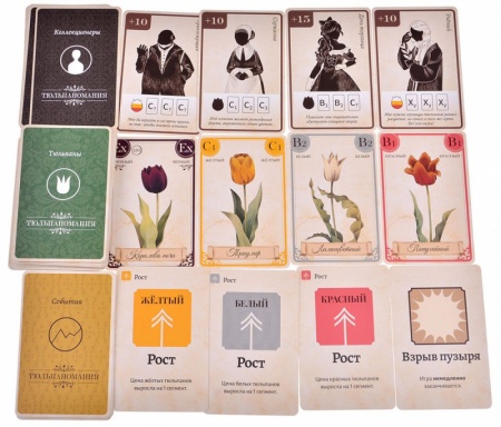 915511HW Тюльпаномания