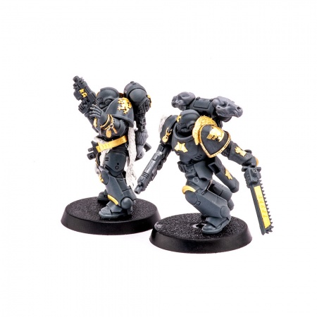 S274MWP Warhammer Space Wolves украшения