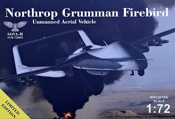 AM72003SM Самолет N.Grumman Fireberd UAV