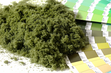 001pp008 Фолиаж. Листва дуба