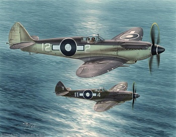 SH48116 Seafire Mk.XV Far East Service