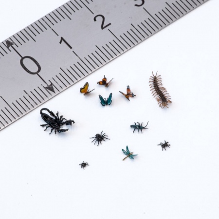 S-242 Насекомые, размер M