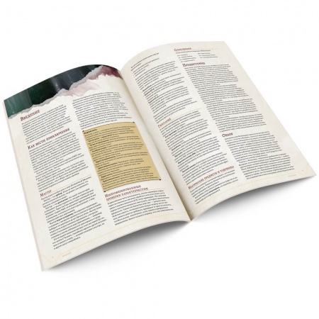 73600-RHW Dungeons & Dragons:   Стартовый набор