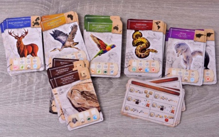 915545HW Энциклопедия