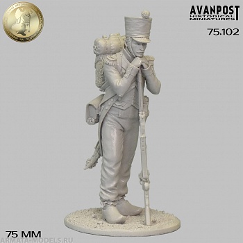 75.102 Вольтижёр французской линейной пехоты, 1812 г