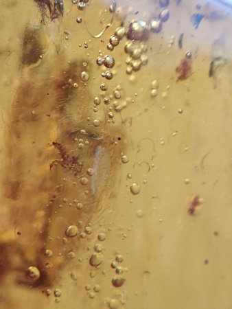 AAM0012 Янтарь с многочисленными инклюзами Охотничье угодье. 43 грамма! 