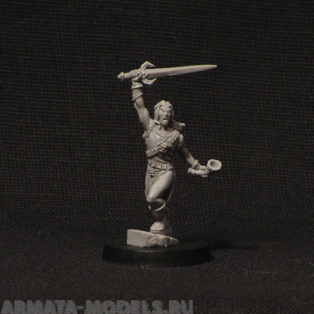 elf elven hero BROTHER VINNI's