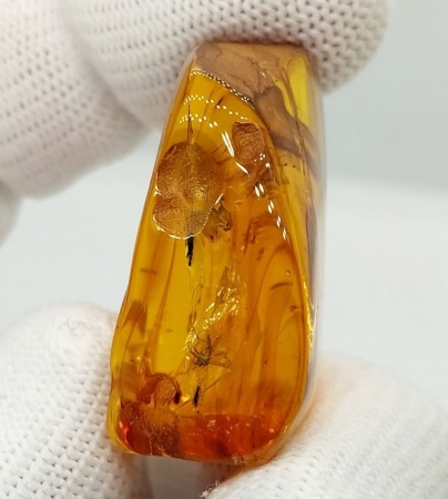 AAM0010 Янтарь с многочисленными инклюзами «Микромир». 2 комара, муха, 6(!) клещей в шикарном камне.