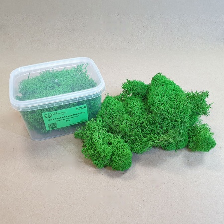 5706 мох стабилизированный - 30 г - мусульманский зеленый