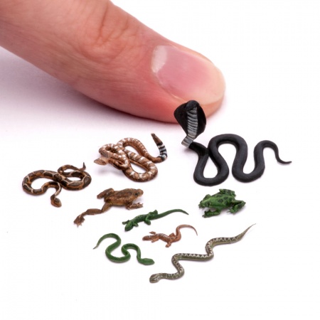 S-241 Рептилии , размер L