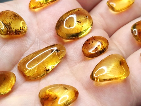 AAM0025 Янтарь с инклюзом Коллекция на ладони