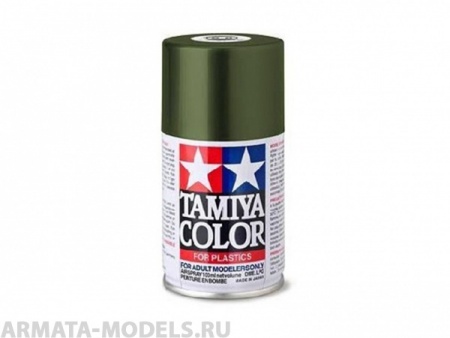 85061T TS-61 NATO  Green