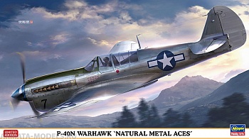 07516-Американский истребитель P-40N WARHAWK NATURAL METAL ACES