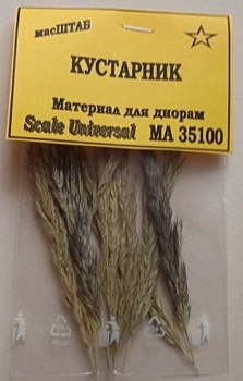 35100 Кустарник