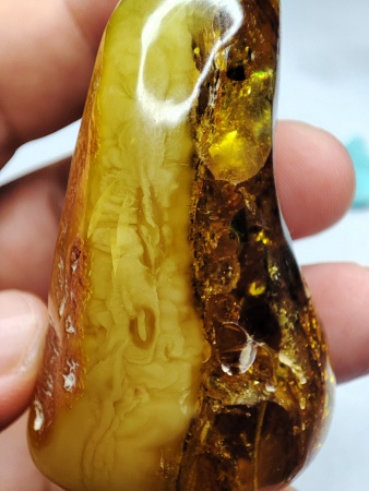 AAM0018 Янтарь с инклюзом Macrochile baltica «Луна и Солнце»