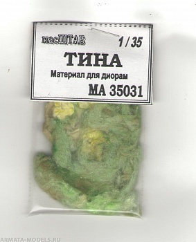 35031 Тина 35031 Тина