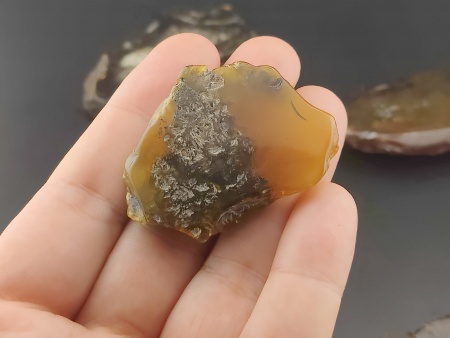 AAM0036 Спилы янтаря 