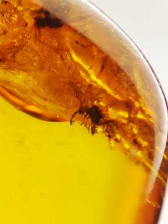 AAM0015 Янтарь с многочисленными инклюзами  «Муха Зеленуха»