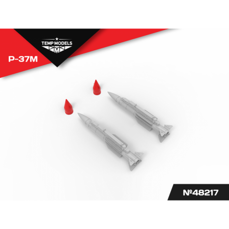 48217TMP Управляемая ракета Р-37М