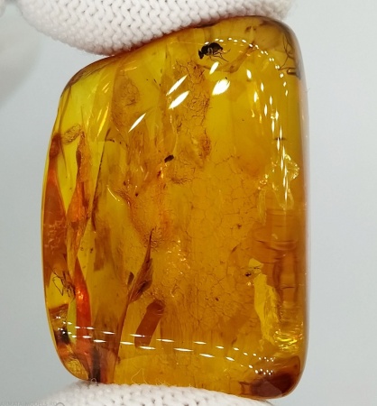 AAM0010 Янтарь с многочисленными инклюзами «Микромир». 2 комара, муха, 6(!) клещей в шикарном камне.