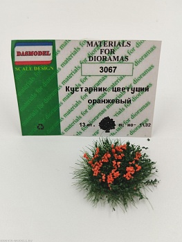 3067DAS Кустарник цветущий оранжевый
