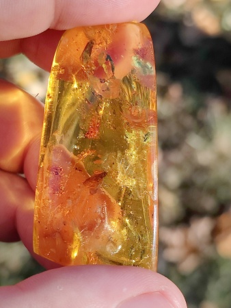 AAM0013 Янтарь с инклюзом «У ручья». Вес 14 грамм, 2 ручейника, 4 комара, тля, колемболла и бутон цветка! 