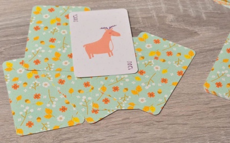 SM39791 Верю не верю