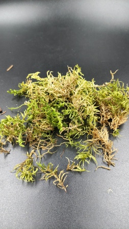 30119 Сорняковые растения