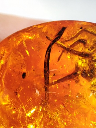 AAM0017 Янтарь с инклюзом «Тройная редкость»