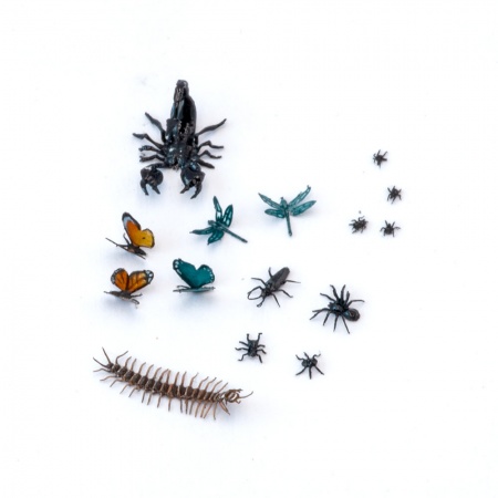 S-243 Насекомые, размер L