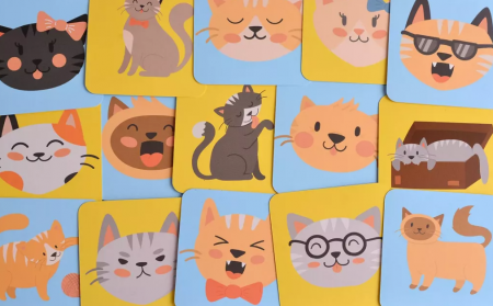 ТК001FI Мемори Котики