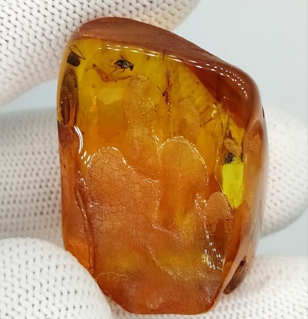 AAM0010 Янтарь с многочисленными инклюзами «Микромир». 2 комара, муха, 6(!) клещей в шикарном камне.
