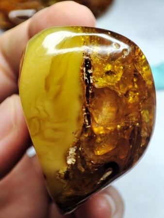 AAM0018 Янтарь с инклюзом Macrochile baltica «Луна и Солнце»