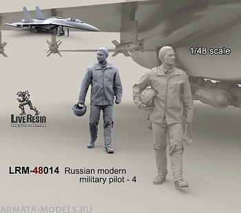 LRM48014 Военный летчик ВВС РФ - 4