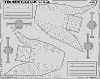 48808ED MiG-25 Foxbat air intakes & F.O.D.