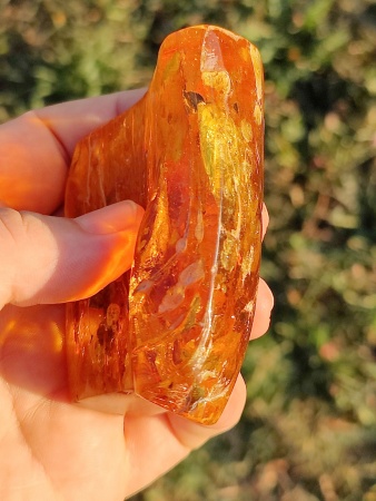 AAM0008 Янтарь с многочисленными инклюзами «Зоопарк». Вес камня 72 грамма!